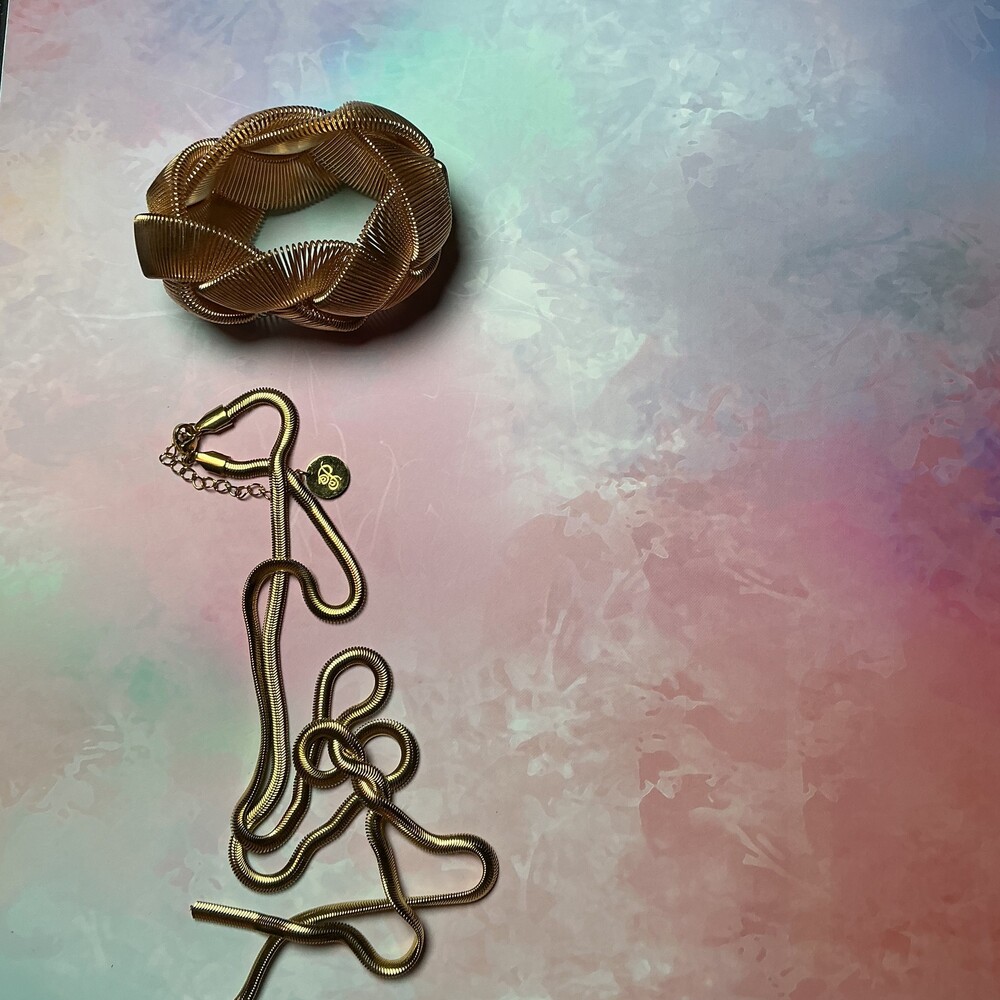 Gold-Tone Snake Chain Necklace and Adjustable Bracelet Set